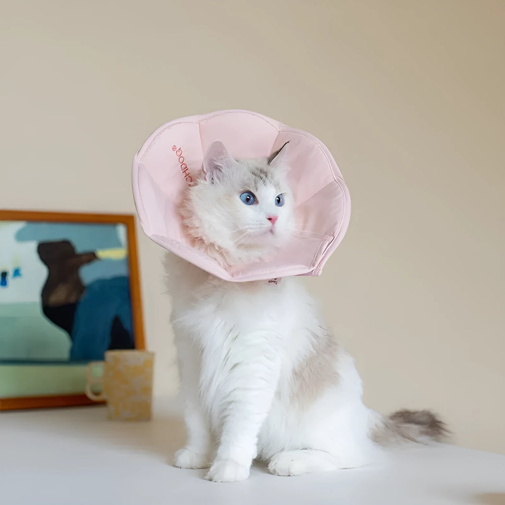 Waterproof polyester cat anti-licking recovery collar in Light Strawberry colour on a white background showing soft material
