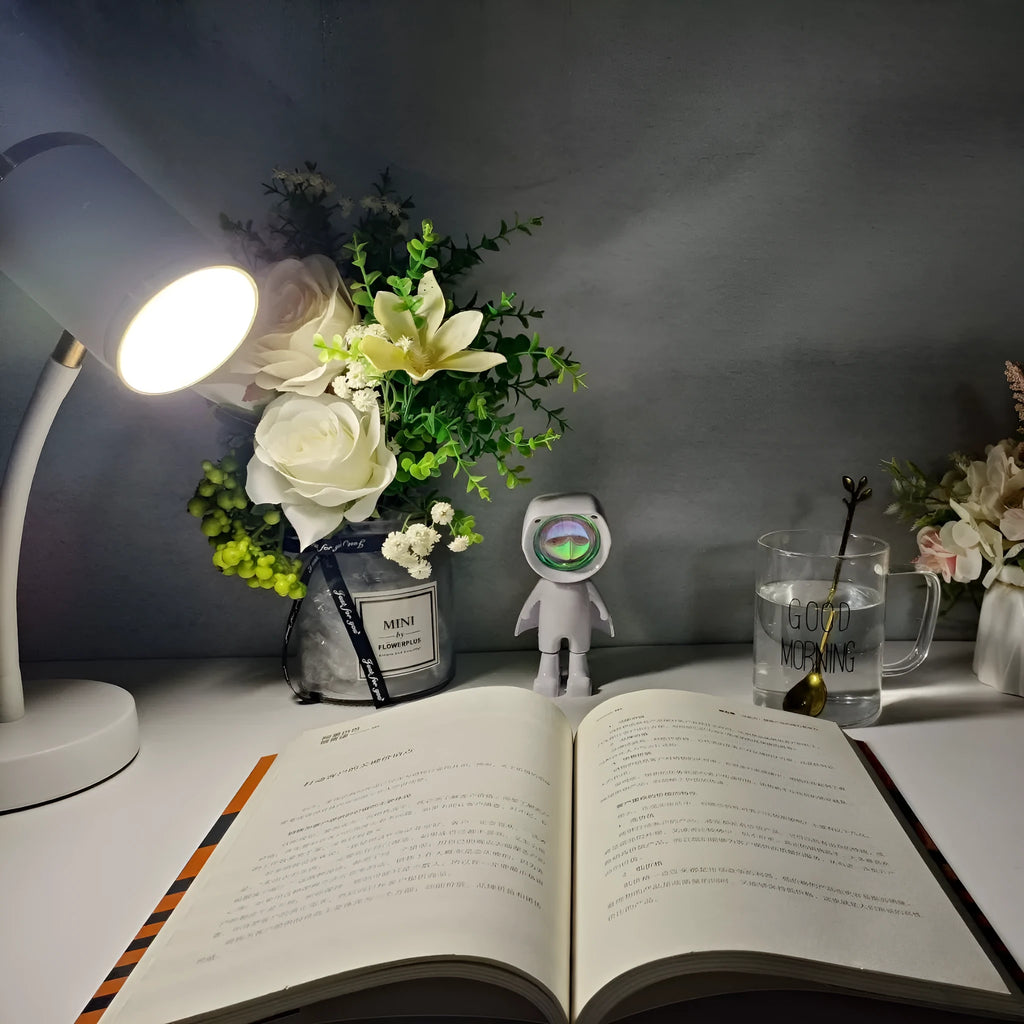 Black and white double-headed photography lamp with metal holders for streaming lighting