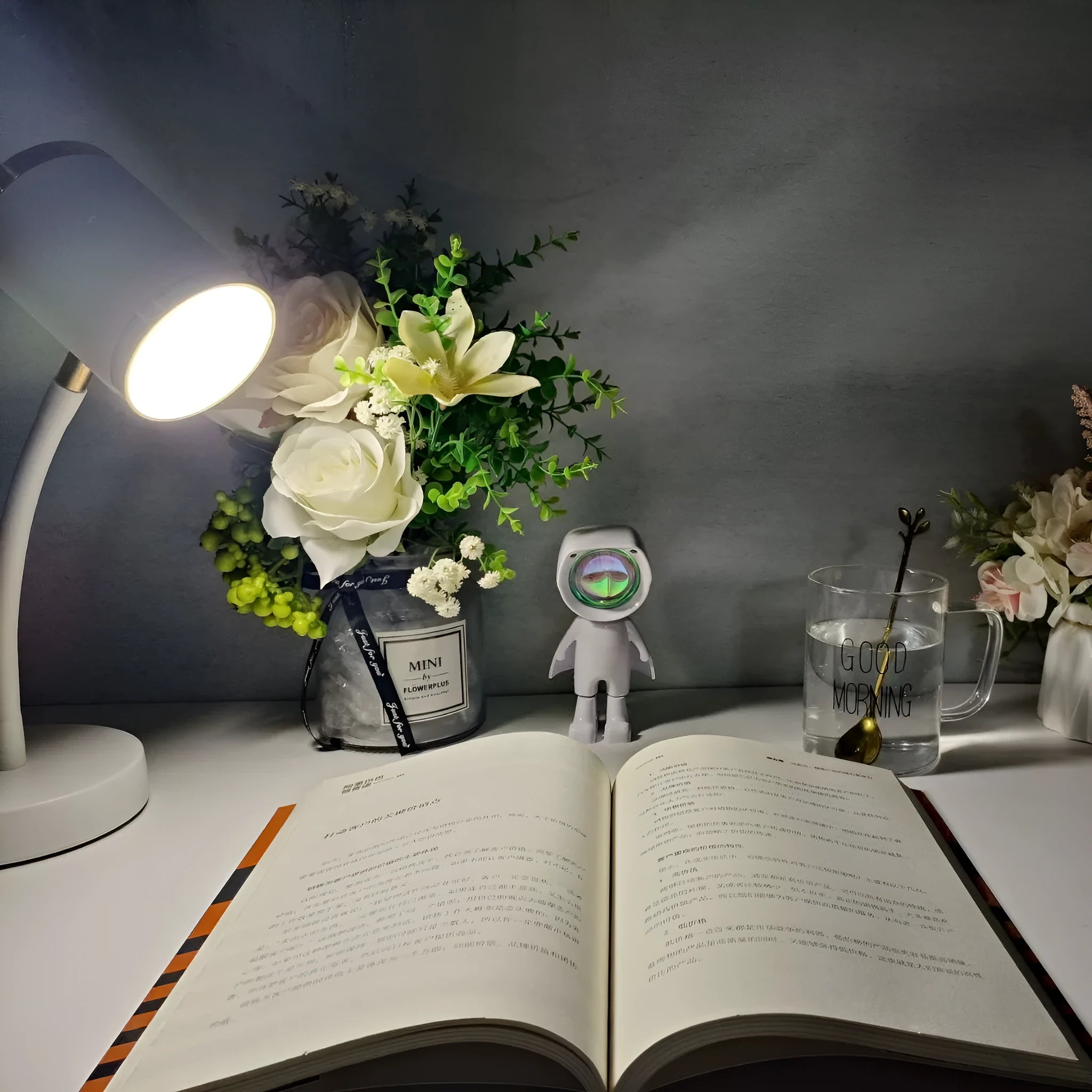 Black and white double-headed photography lamp with metal holders for streaming lighting