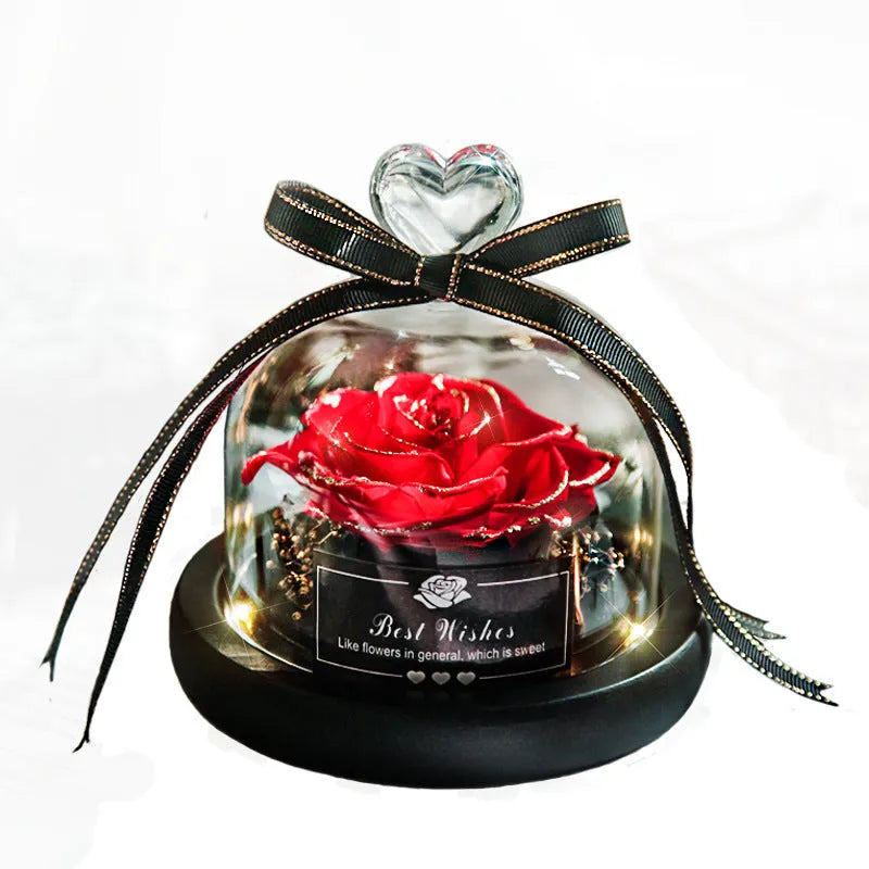 Glass dome containing a preserved red eternal rose illuminated by a soft LED light