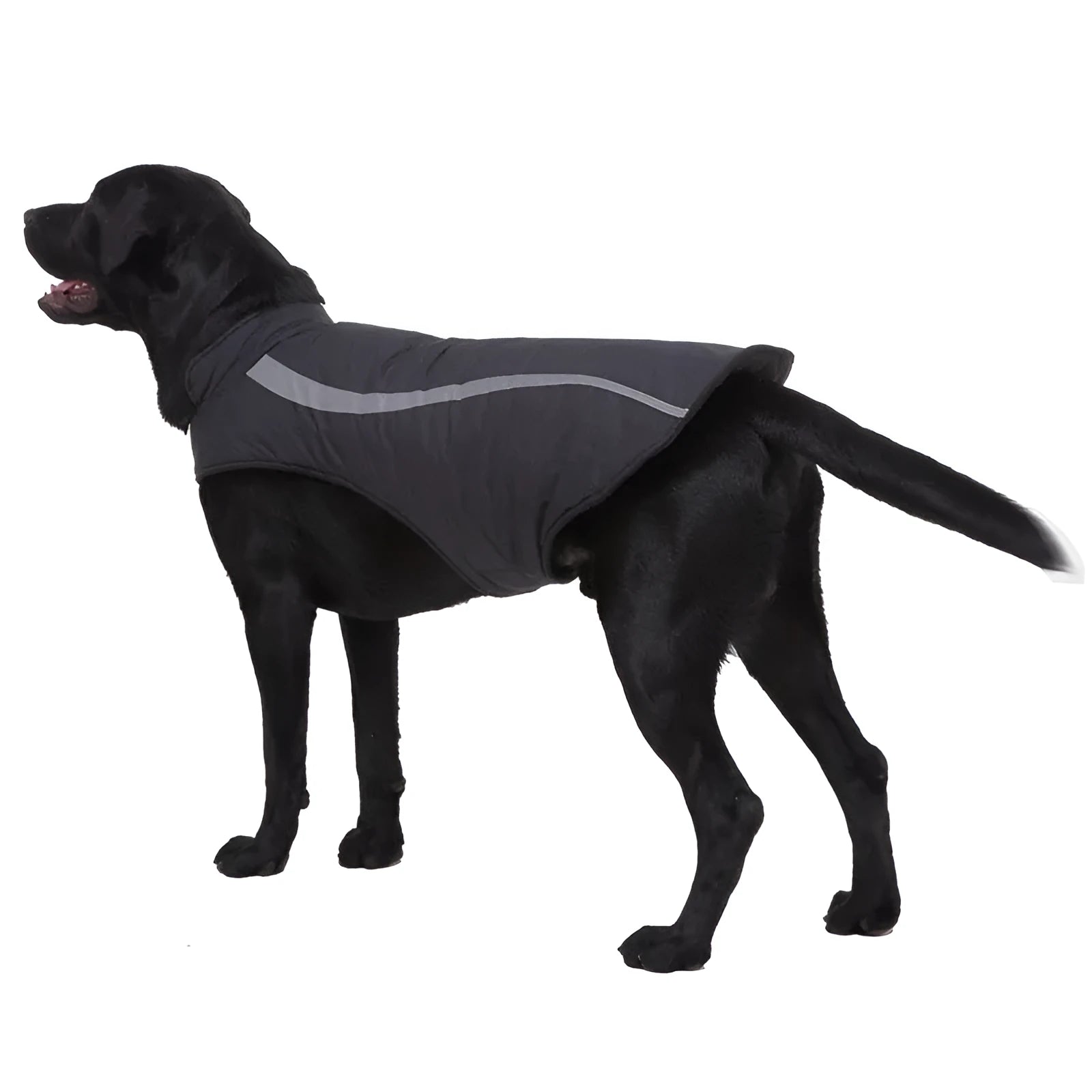 Cotton casual dog winter coat in black on a white background showing front view
