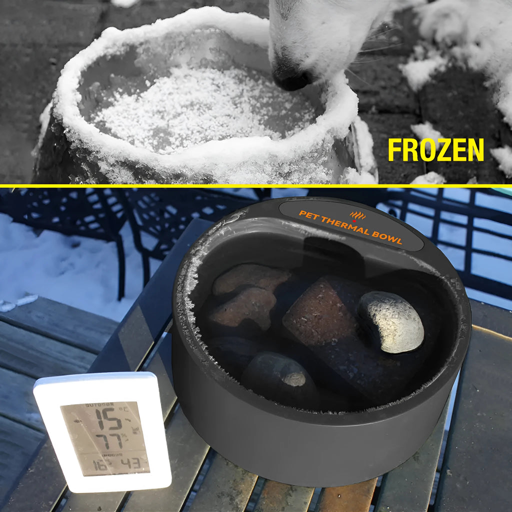 Black ABS heated pet bowl for cats and dogs with constant temperature warming feature.