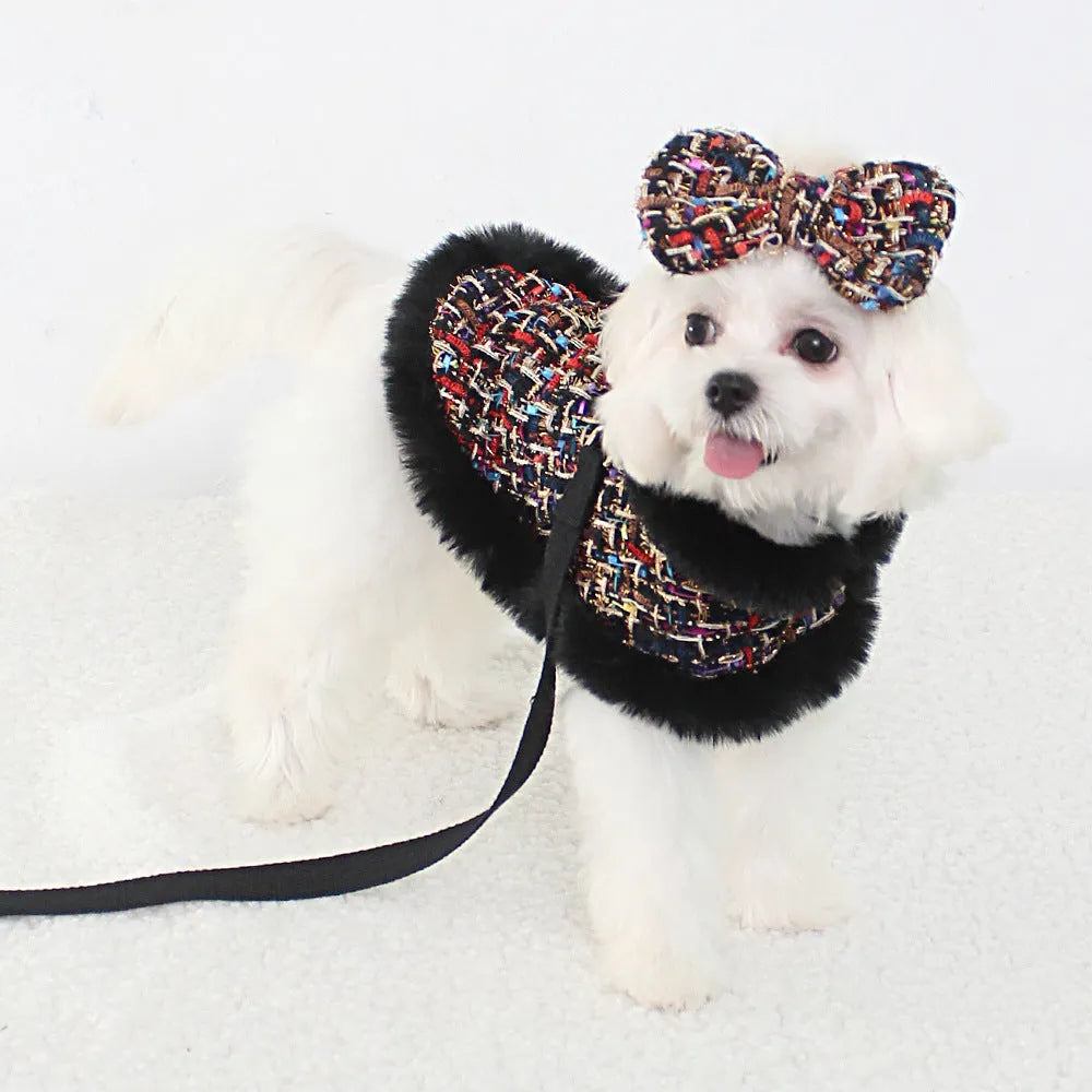 Classic cloth dog cloak attached to a chest harness with a hand-held traction rope lead.