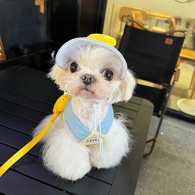 Dog harness and leash set with cat clothes, hat, and wire rope pulling rope for summer pet outings