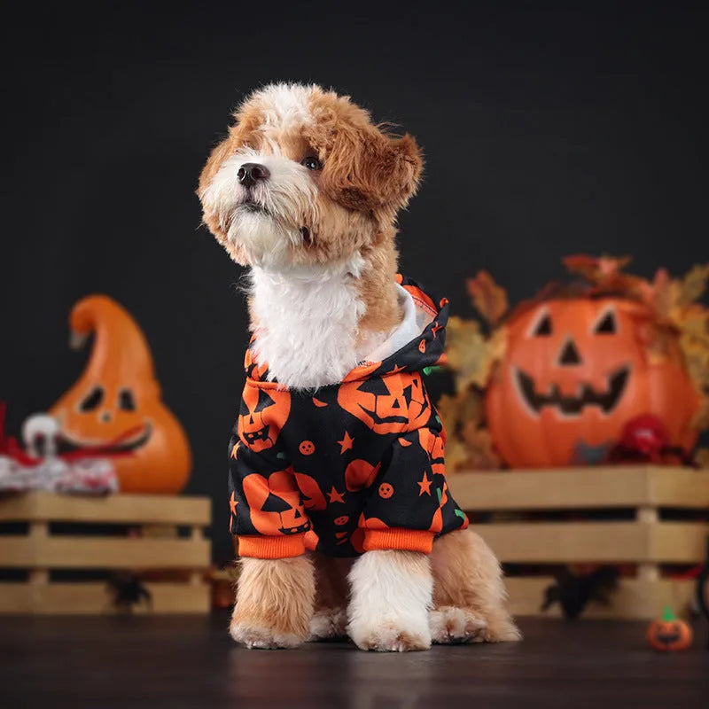 Wansheng orange polyester pumpkin sweater for dogs and cats in European American style