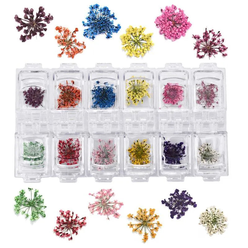 Three dimensional dried flower nail stickers in 12 colours for manicure