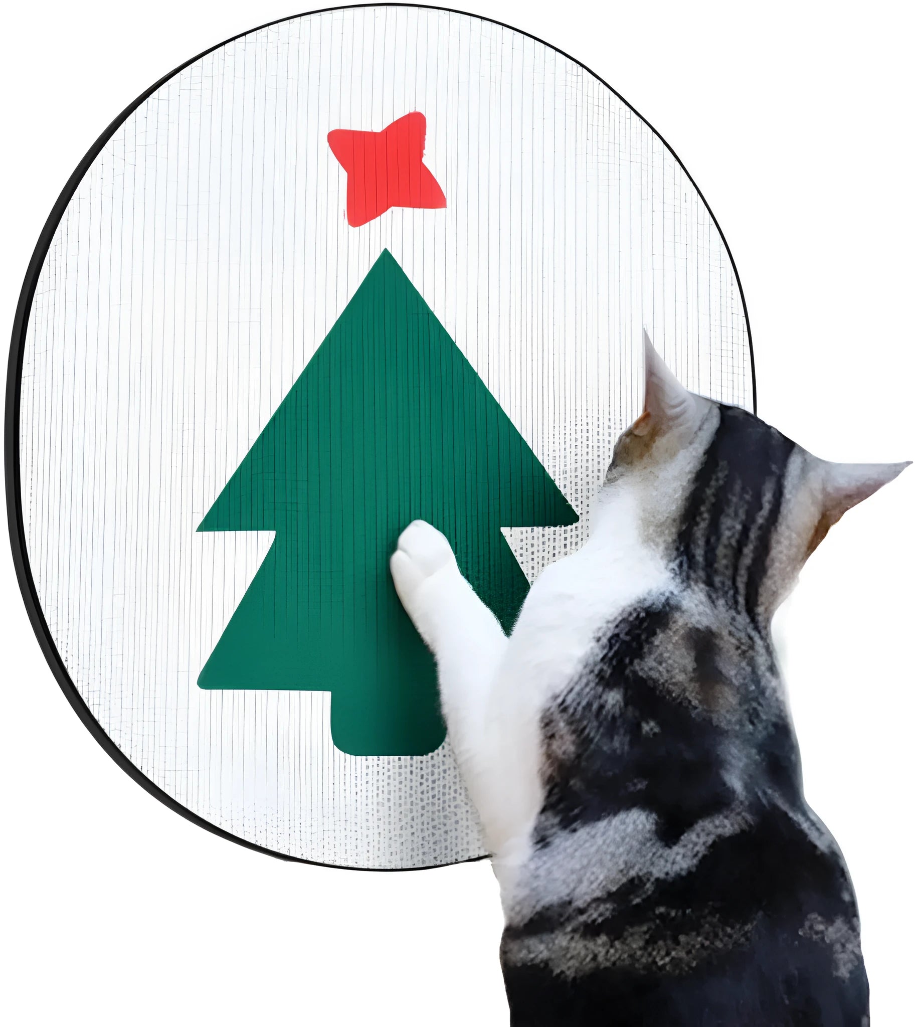 Wall-mounted corrugated cardboard cat scratcher pad with catnip on a white wall