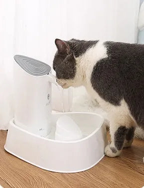 Pet dog and cat water dispenser with 1.8L capacity, quadruple filtration, and silent pump in white