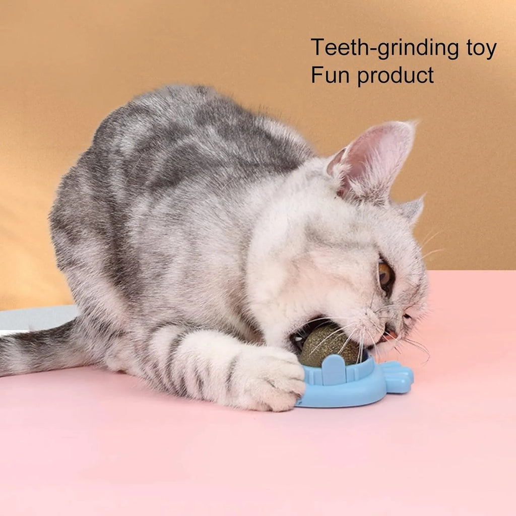 Blue carrot-shaped catnip toy with self-adhesive sticker for wall mounting