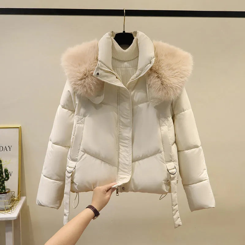 Women's short cotton-padded jacket with stand-up collar in loose fit style