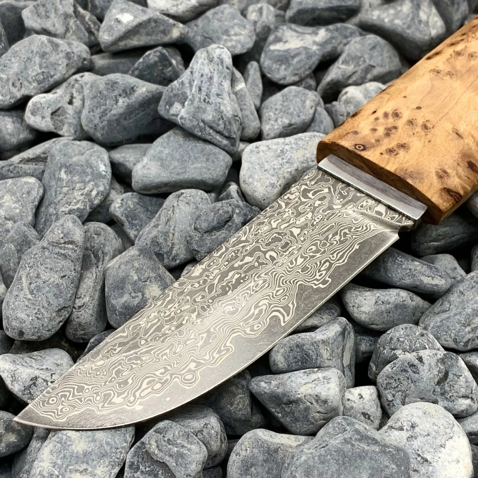 White Shadow Damascus pattern outdoor short knife with Thuja wood handle showing 18cm length