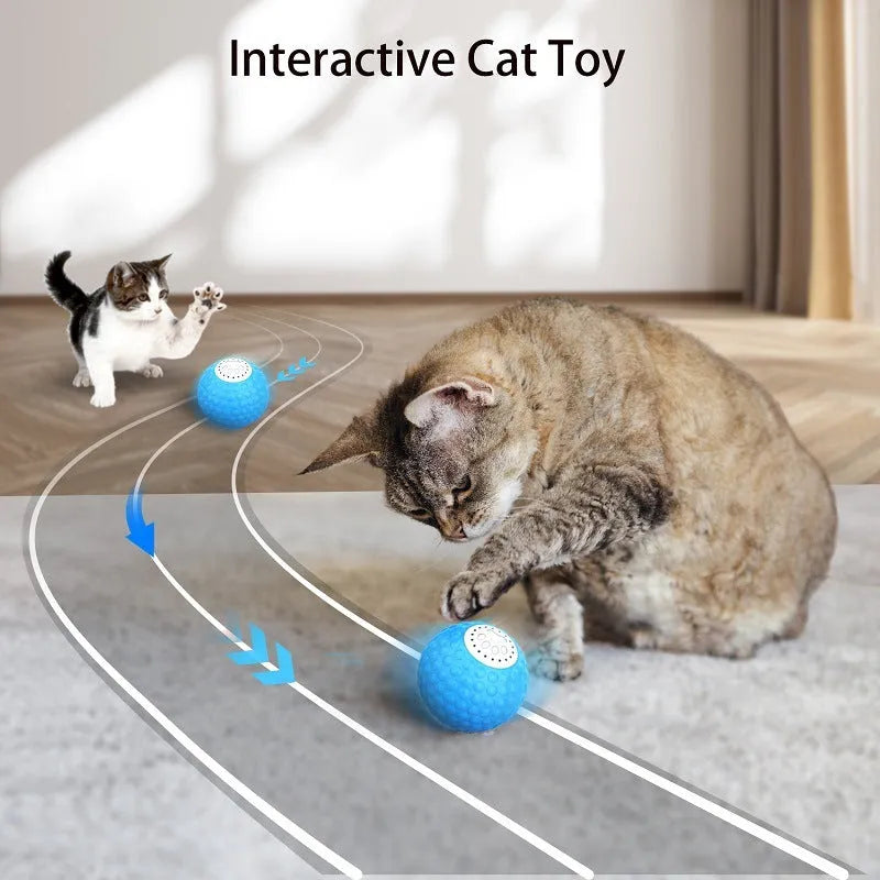 Blue remote control cat toy ball with flashing LEDs next to its handheld remote controller.