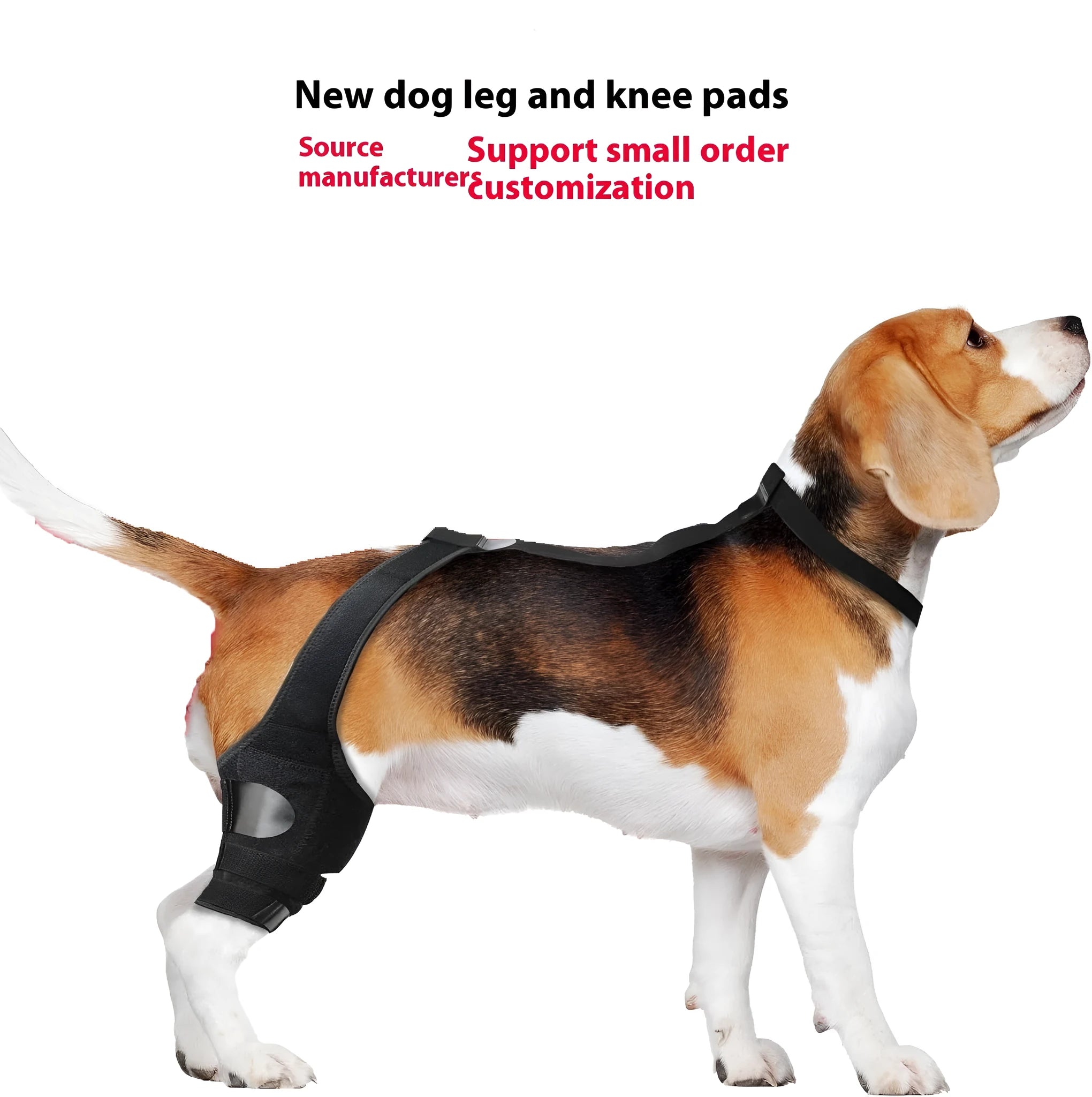 Neoprene dog hind leg knee brace assist strap shown in collar black colour, sized for medium dog.