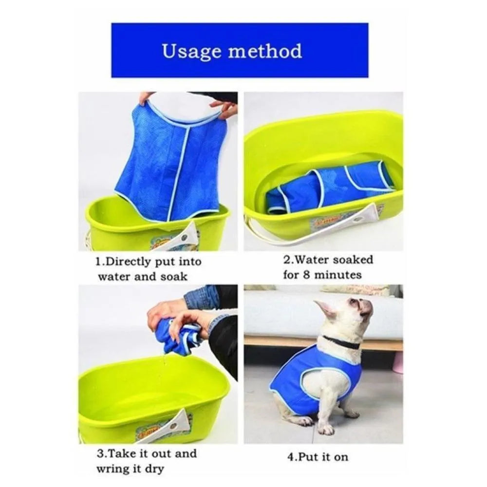 Blue dog cooling vest on a dog ready for summer walking, adjustable fit, size M