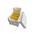 Three white EPS foam mini delivery boxes for bee hive mating and breeding tool set.