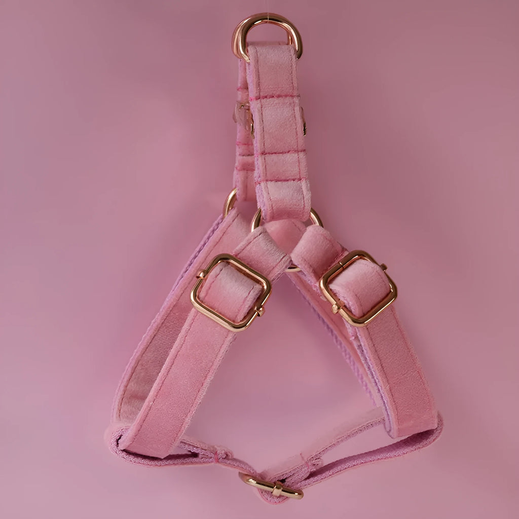 Flannel dog harness and leash set in polyester, adjustable chest strap, sizes S M L XL