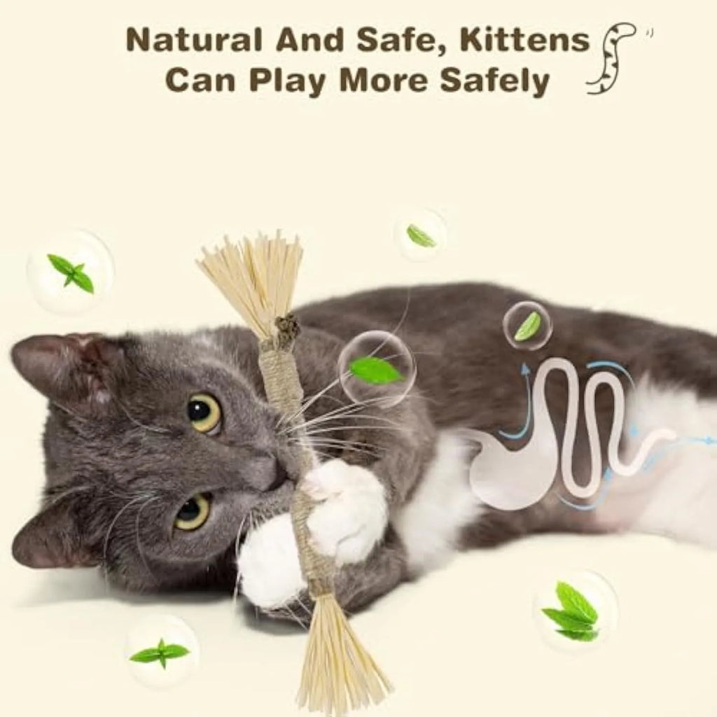 Three natural silvervine chew sticks for cats on a wooden surface.