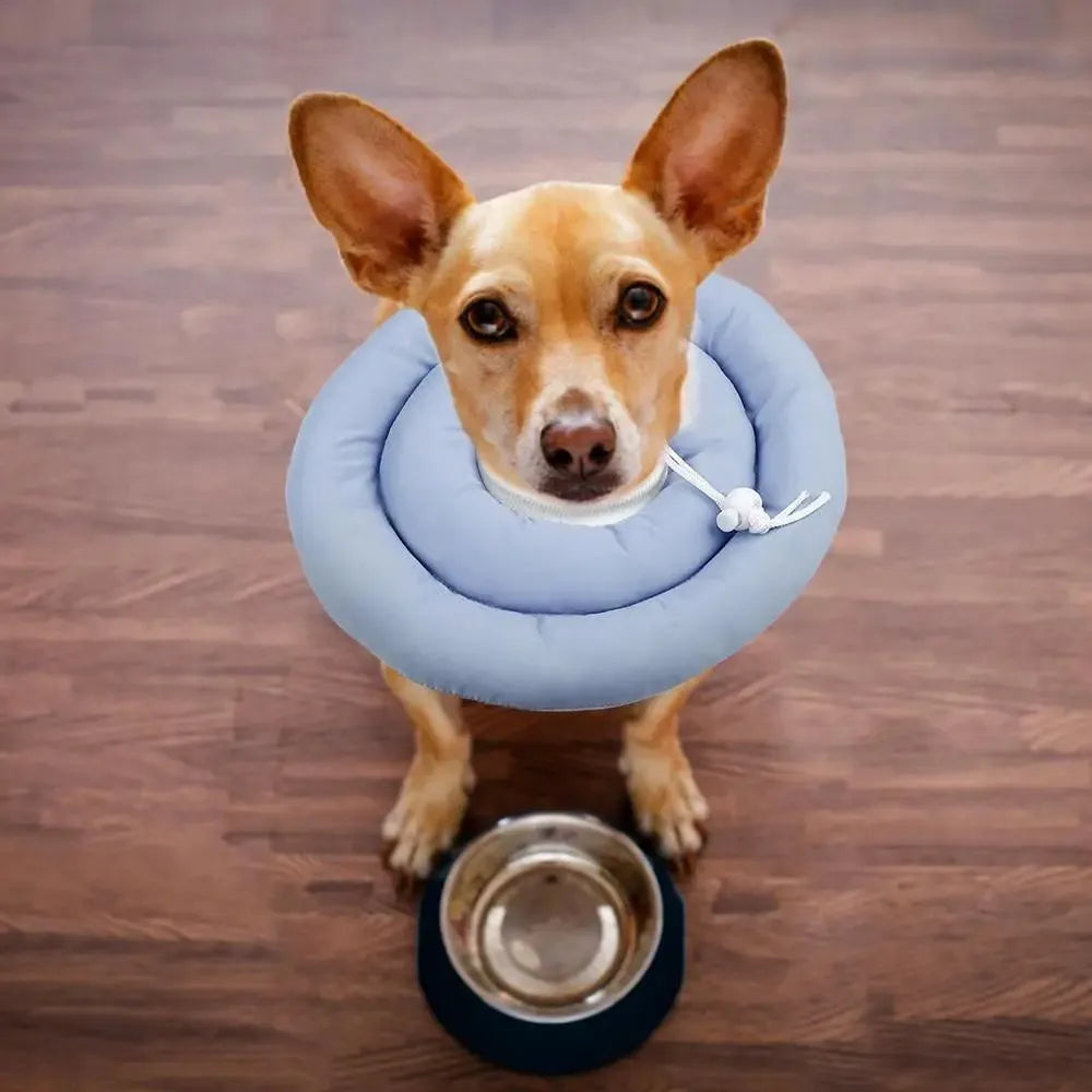 Adjustable waterproof Elizabethan recovery collar for dogs and cats in blue, shown with size chart