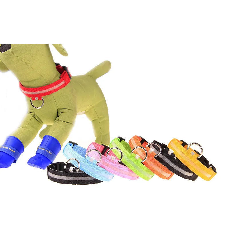 LED luminous pet dog collar in blue light on a dog, showing the illuminated strap