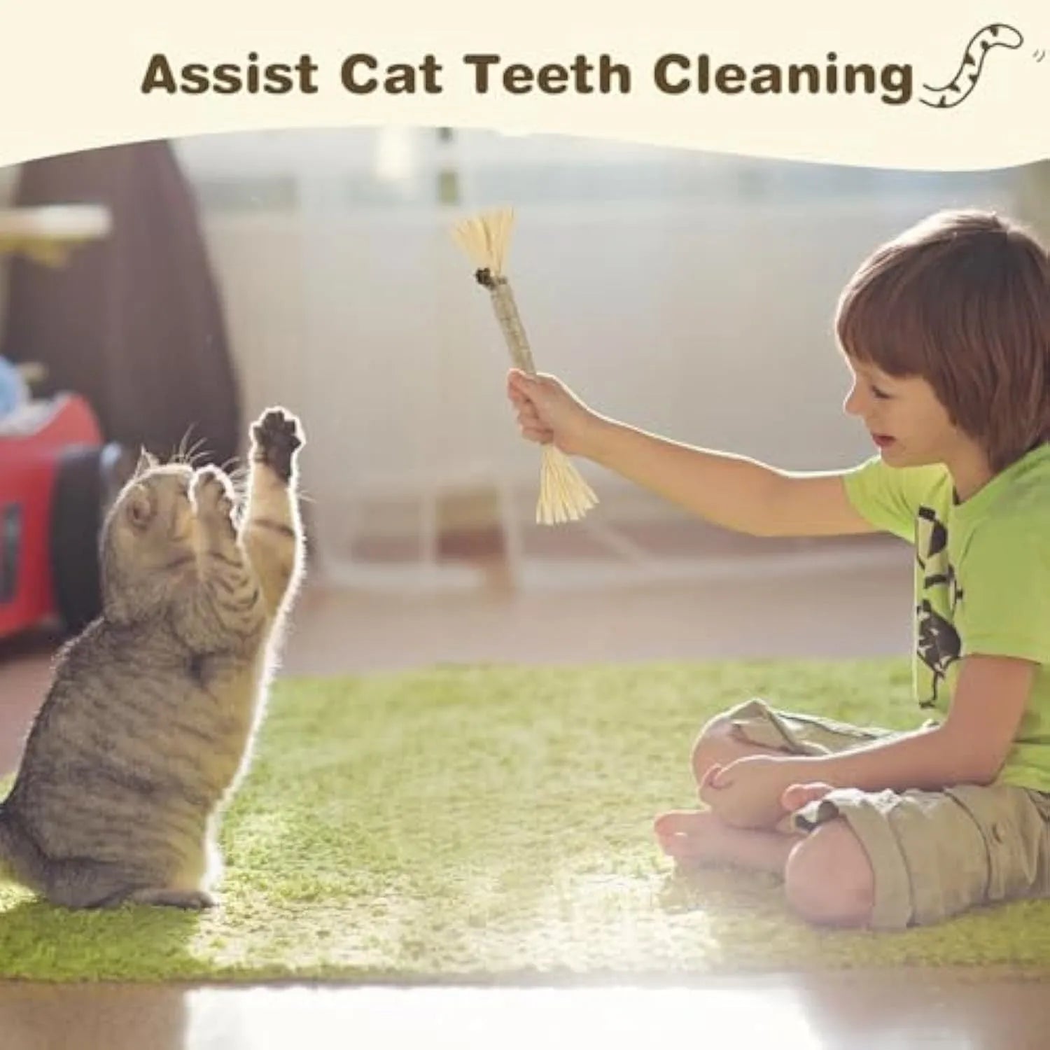 Three natural silvervine chew sticks for cats on a wooden surface.