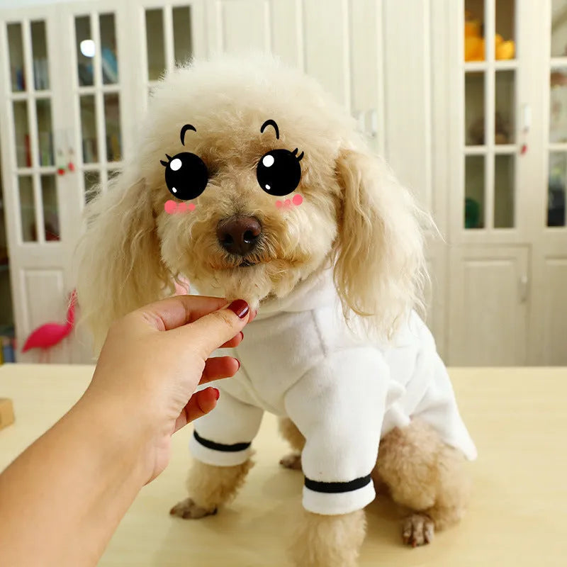 Cotton dog pet clothes in picture colour, casual style, sizes XS to 3XL