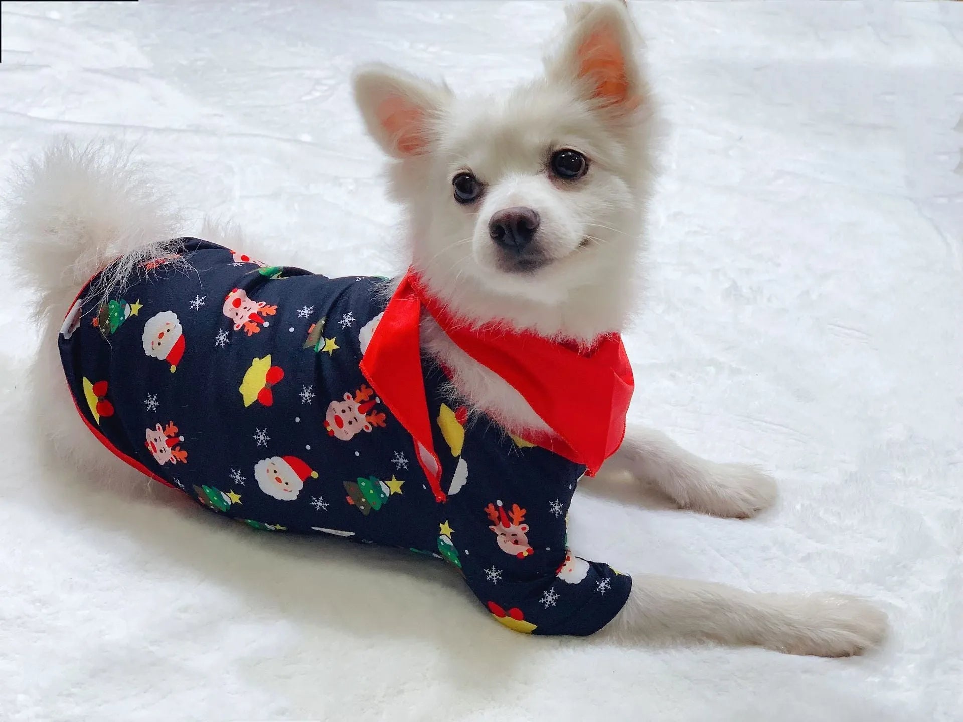 Family wearing matching Christmas pyjamas with plaid and cartoon prints, including adults, children and a dog in coordinated sleepwear