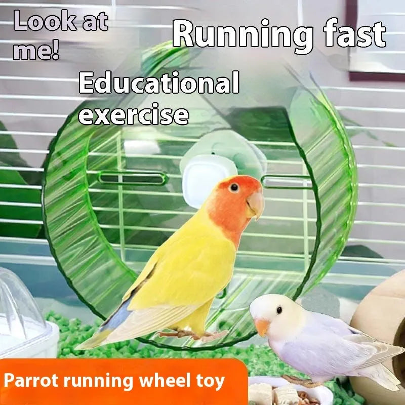A plastic parrot running wheel toy for bird cages, shown in a transparent colour option.