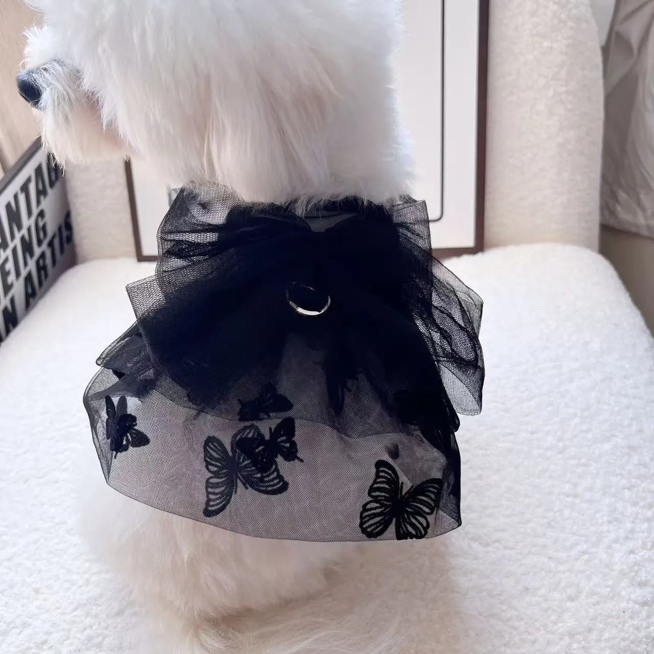 Black layered tulle princess skirt on a small dog, showing the full skirt silhouette and secure fit.