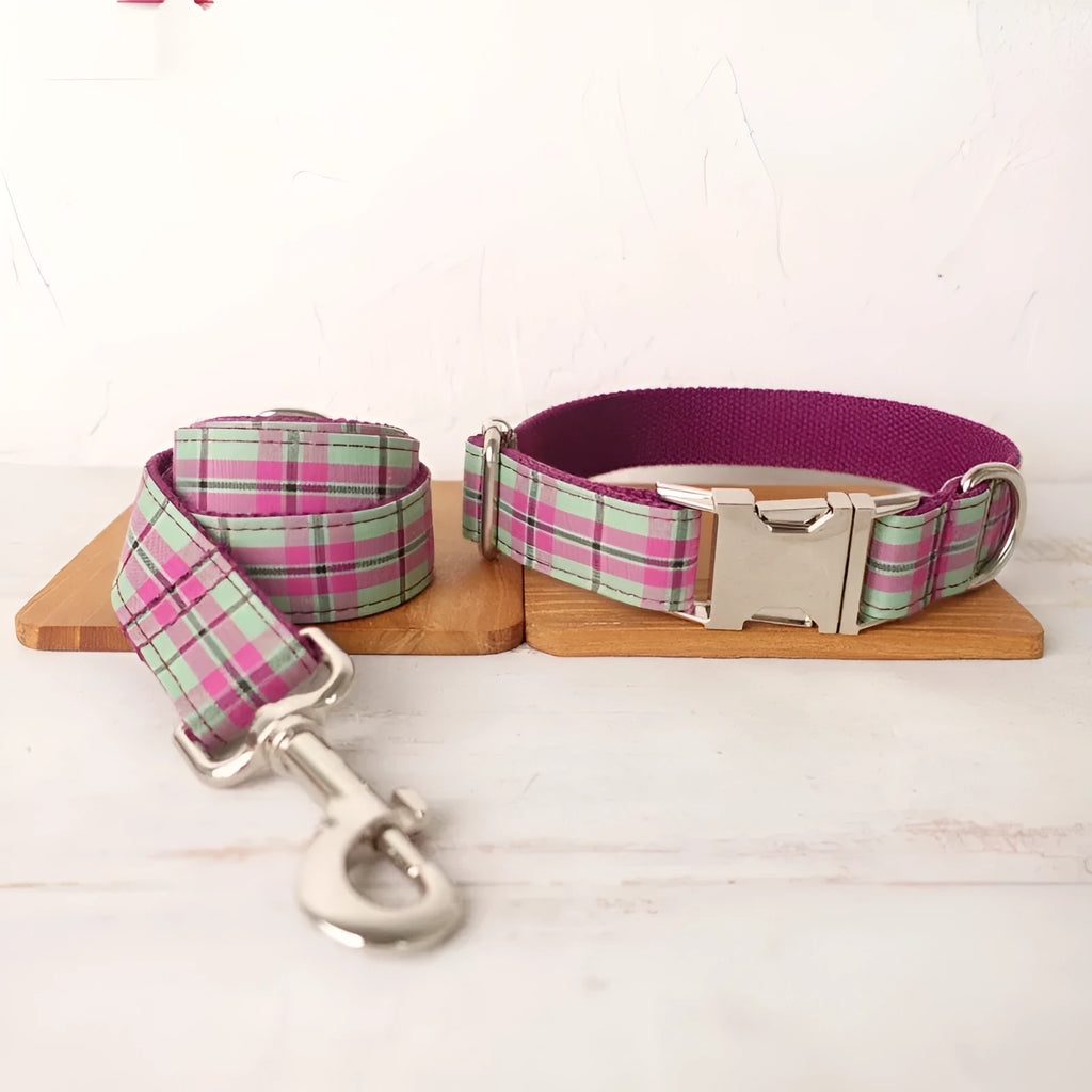 Mint green dog collar and matching leash made from tear-resistant polyester.