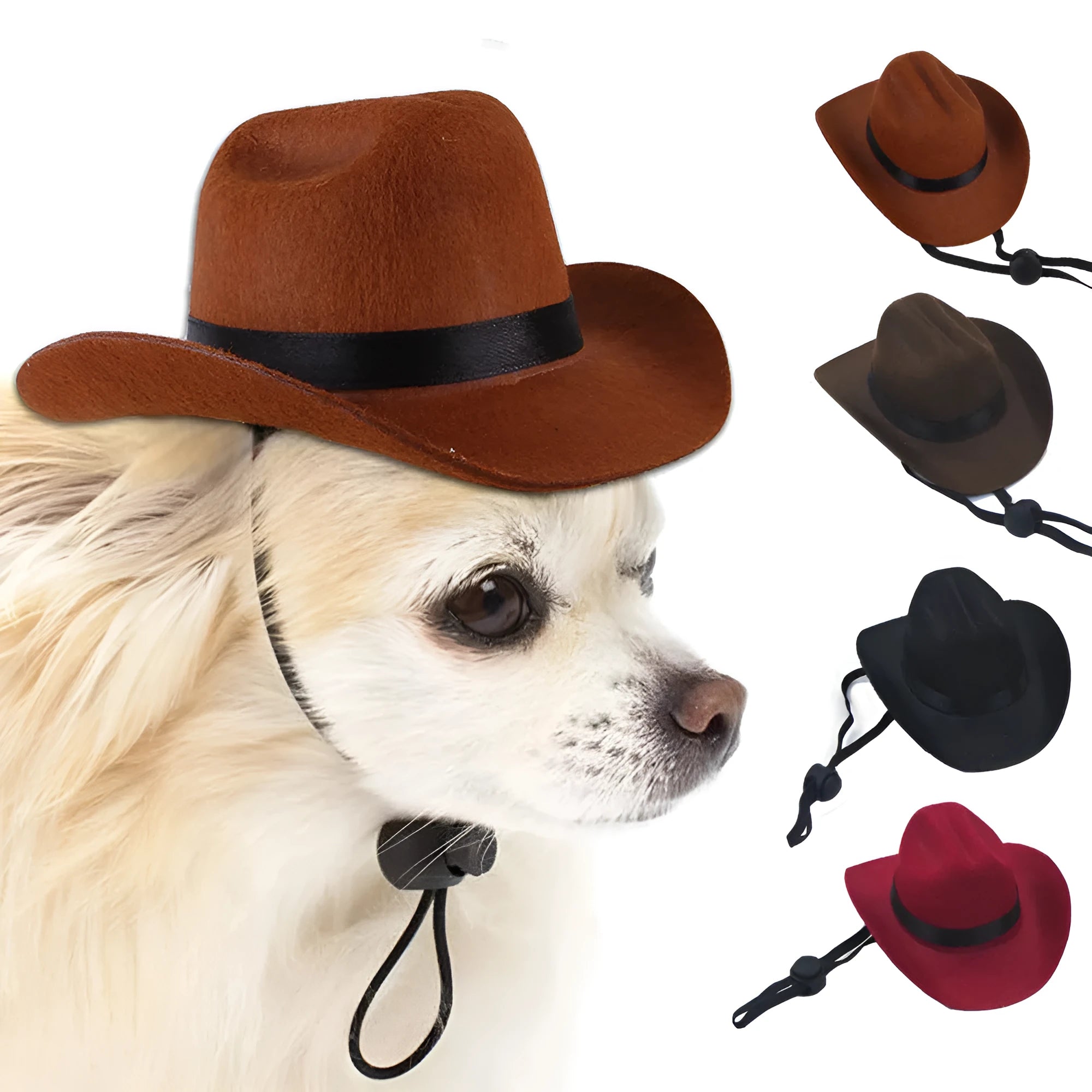 Adjustable pet cowboy hat in four colours on dog model showing size proportions