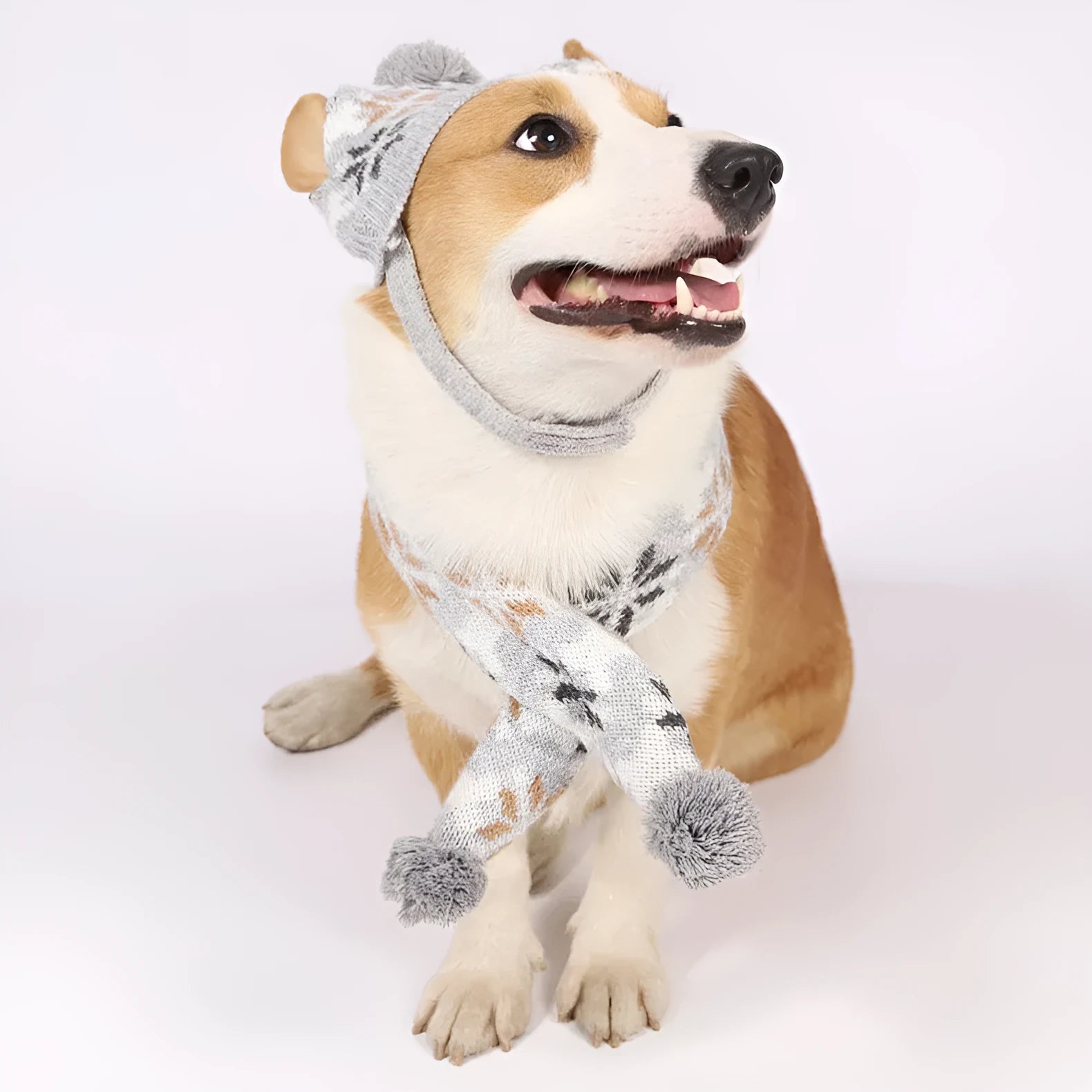 Japanese-style retro jacquard pet sweater hat and scarf set in grey and pink colour options