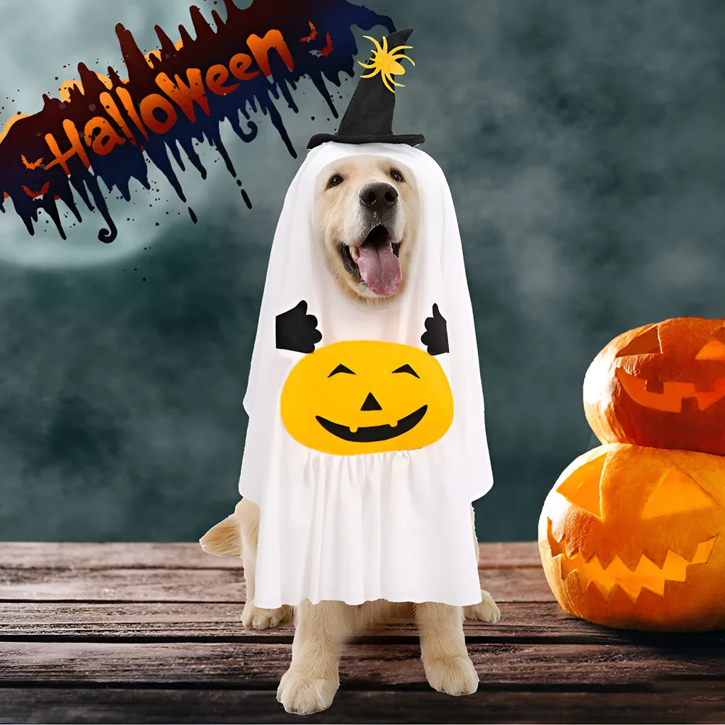 White pumpkin ghost dog costume in viscose material shown on pet model