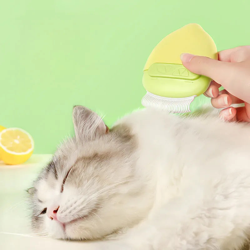 Double-headed mini pet comb with lid in blue colour for removing floating hair from cats and small dogs