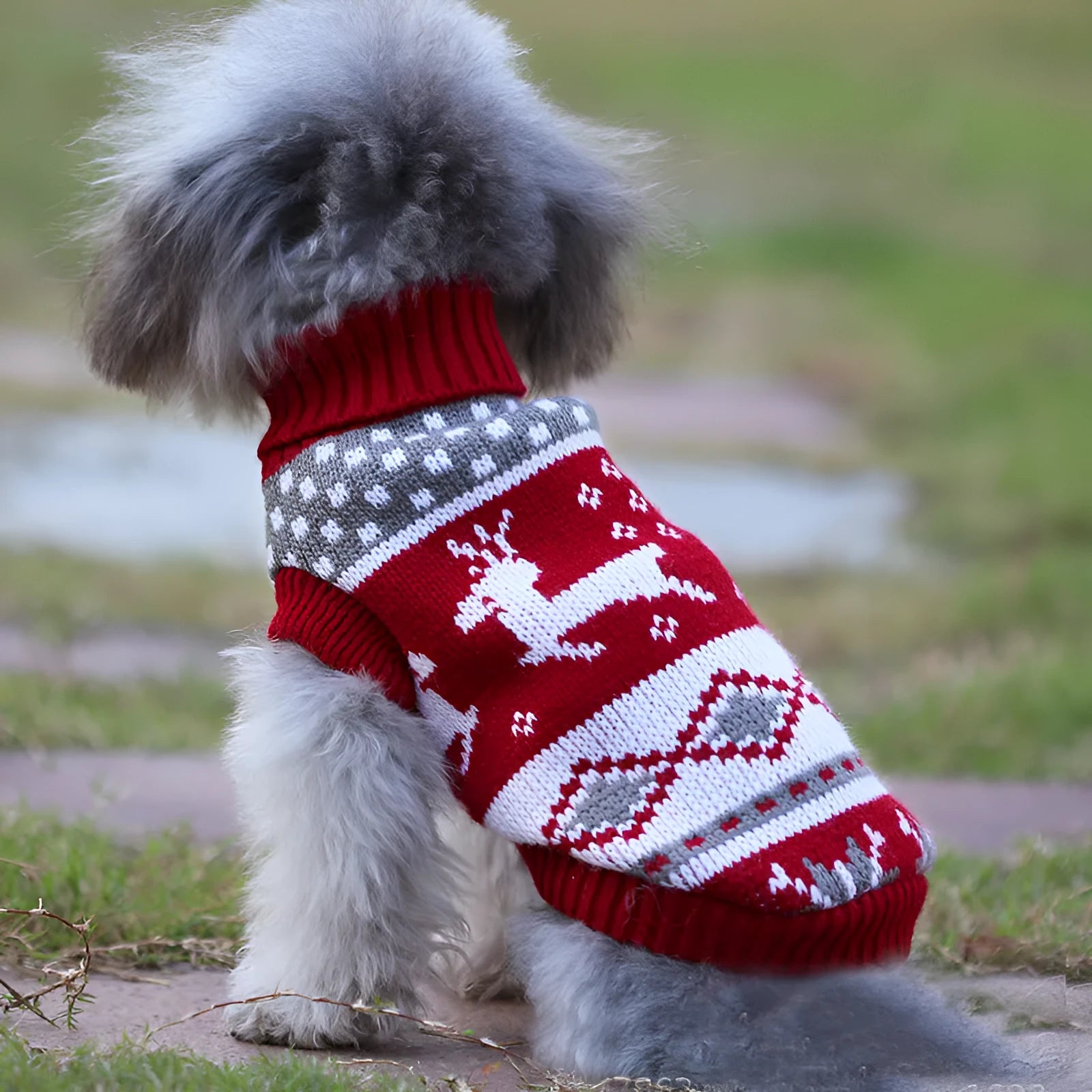Christmas turtleneck knitting sweater for dogs in red reindeer pattern on a small dog, acrylic fabric, multiple sizes available