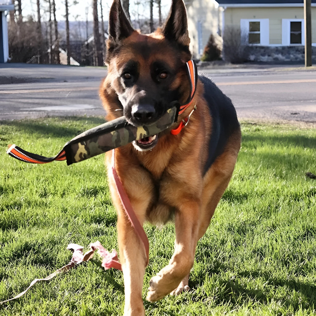 Yellow-edged reflective jute dog training bite stick measuring 55cm in length