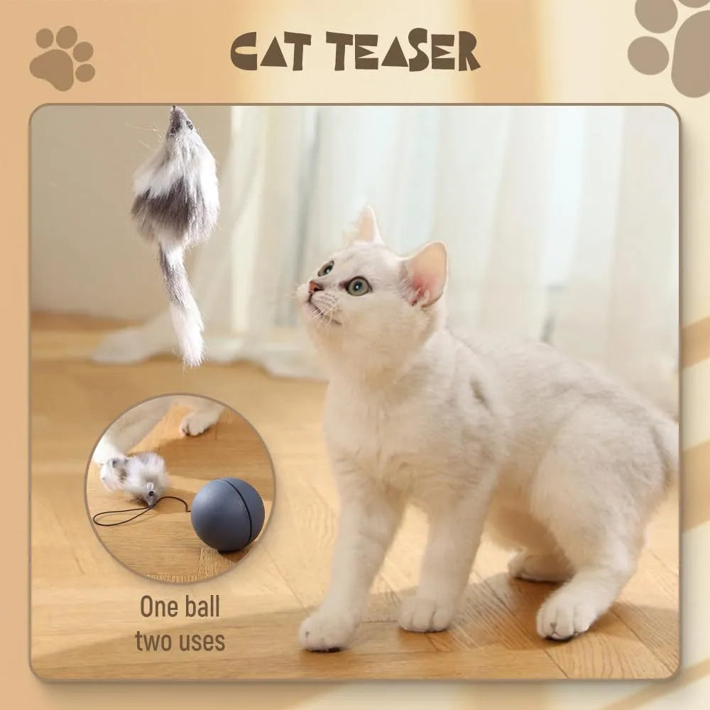 Blue orange and grey automatic rolling electric ball toy for cats and dogs on a hardwood floor