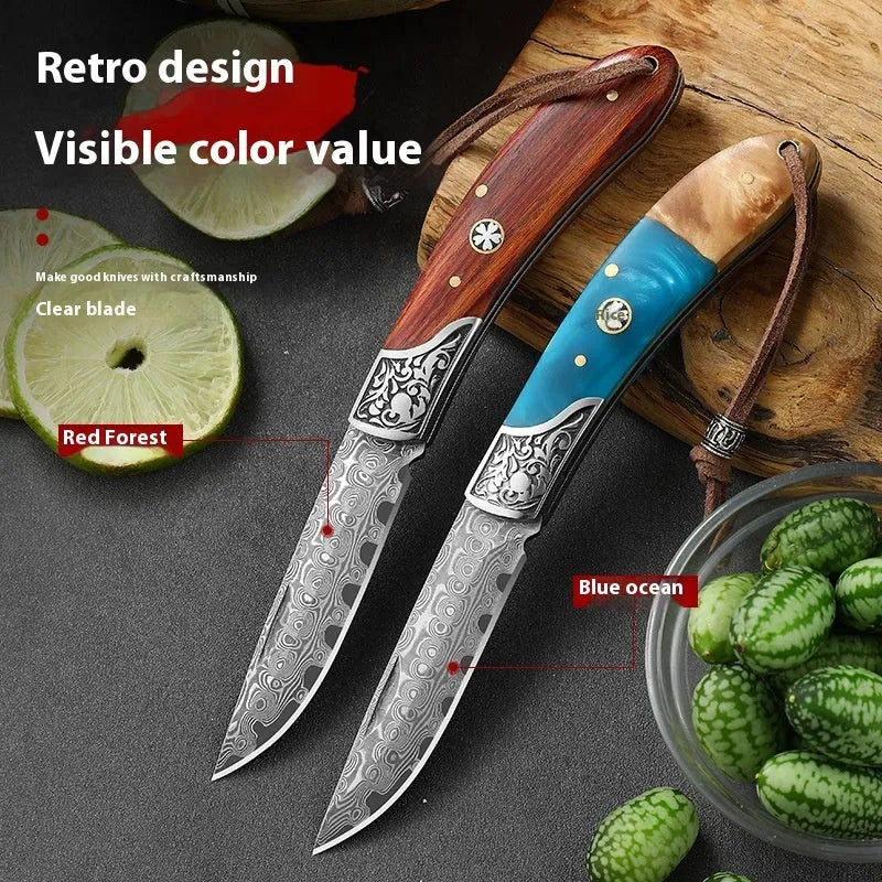 VG10 folding portable mini outdoor knife showing stainless steel blade and handmade national style construction