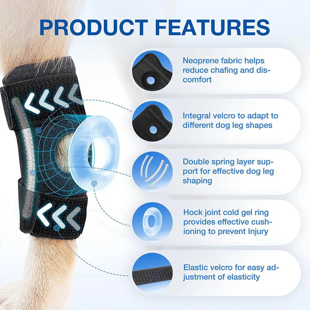 Black neoprene dog rear leg auxiliary strap with Velcro fasteners on white background