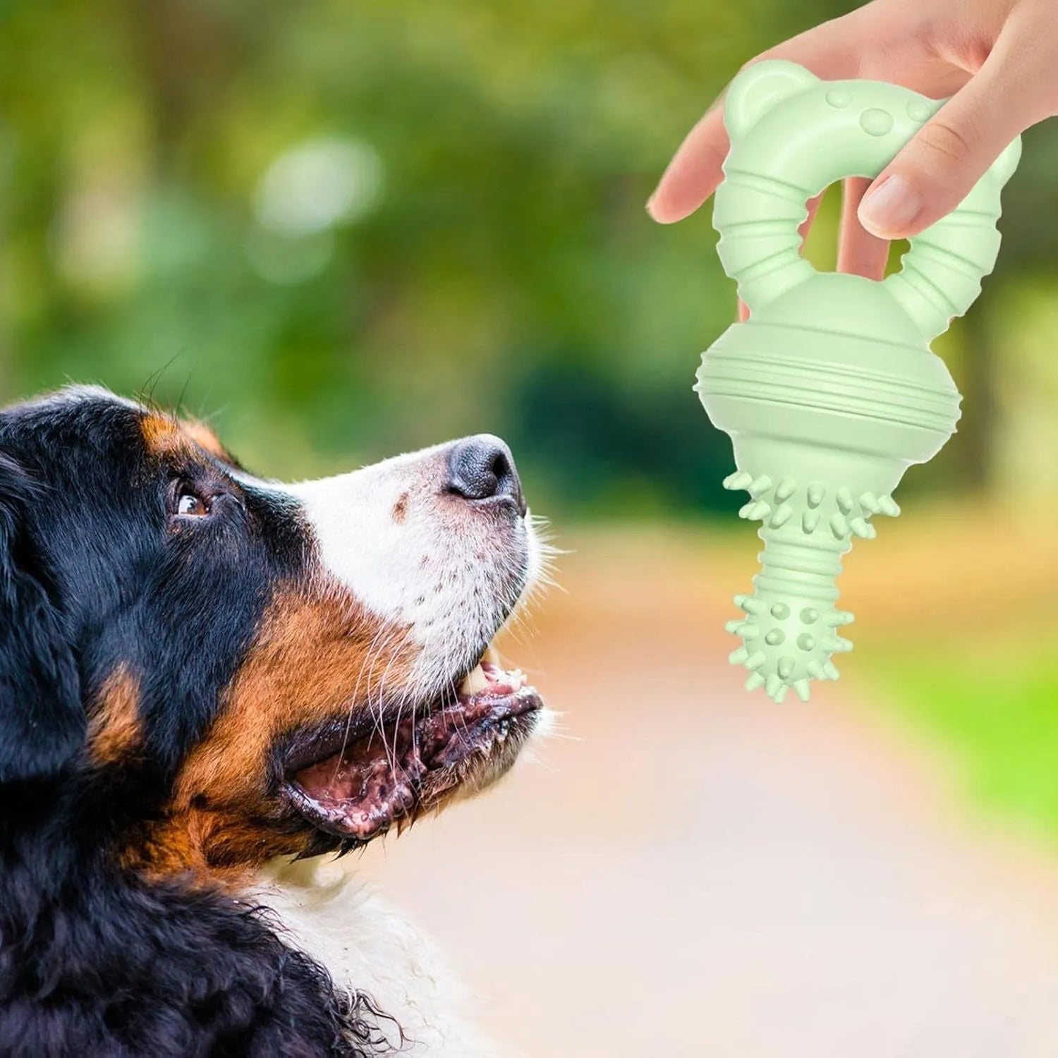 Blue green and pink rubber dog chew toy with textured surface and bell for aggressive chewers and large breeds.