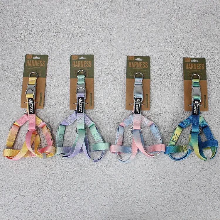 Gradient colour nylon dog leash showing pink-blue pattern with collar attachment