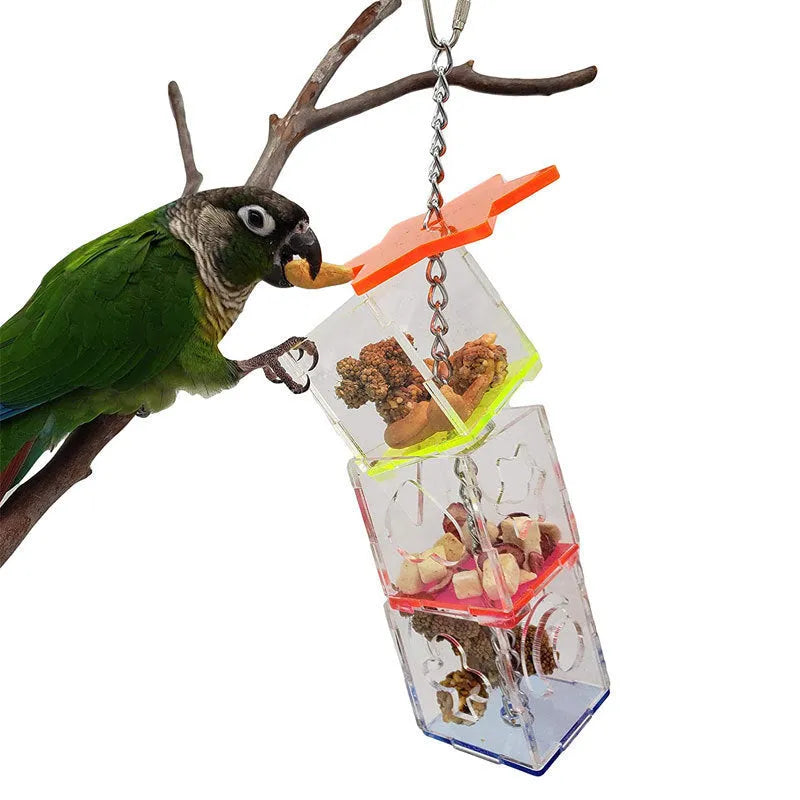 Clear acrylic parrot foraging toy measuring 5x5x32cm for bird food enrichment