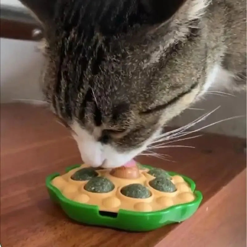 Green wall-sticking catnip ball with edible filling for indoor feline play and dental care