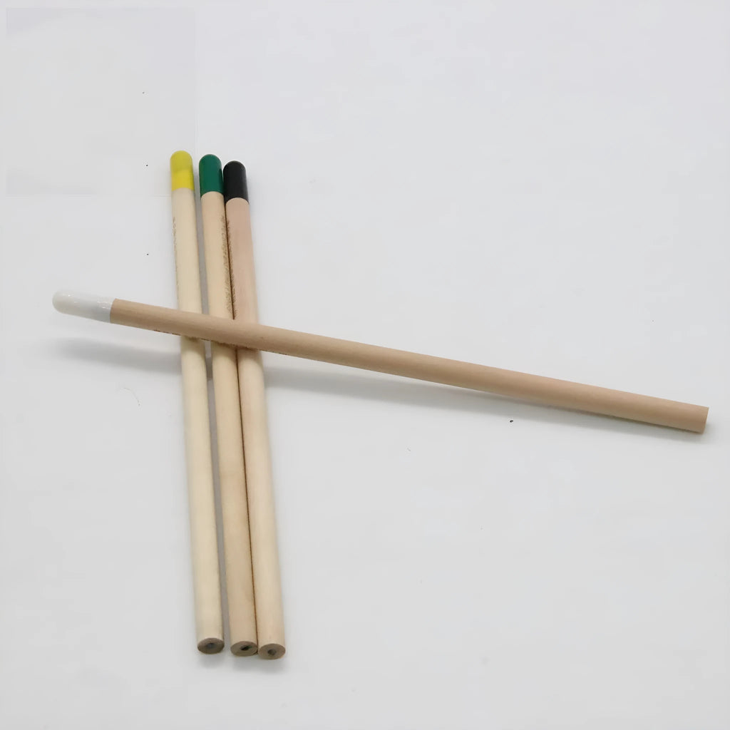 Seed Pencil with coloured degradable capsule tip containing a plant seed, alongside HB refill.