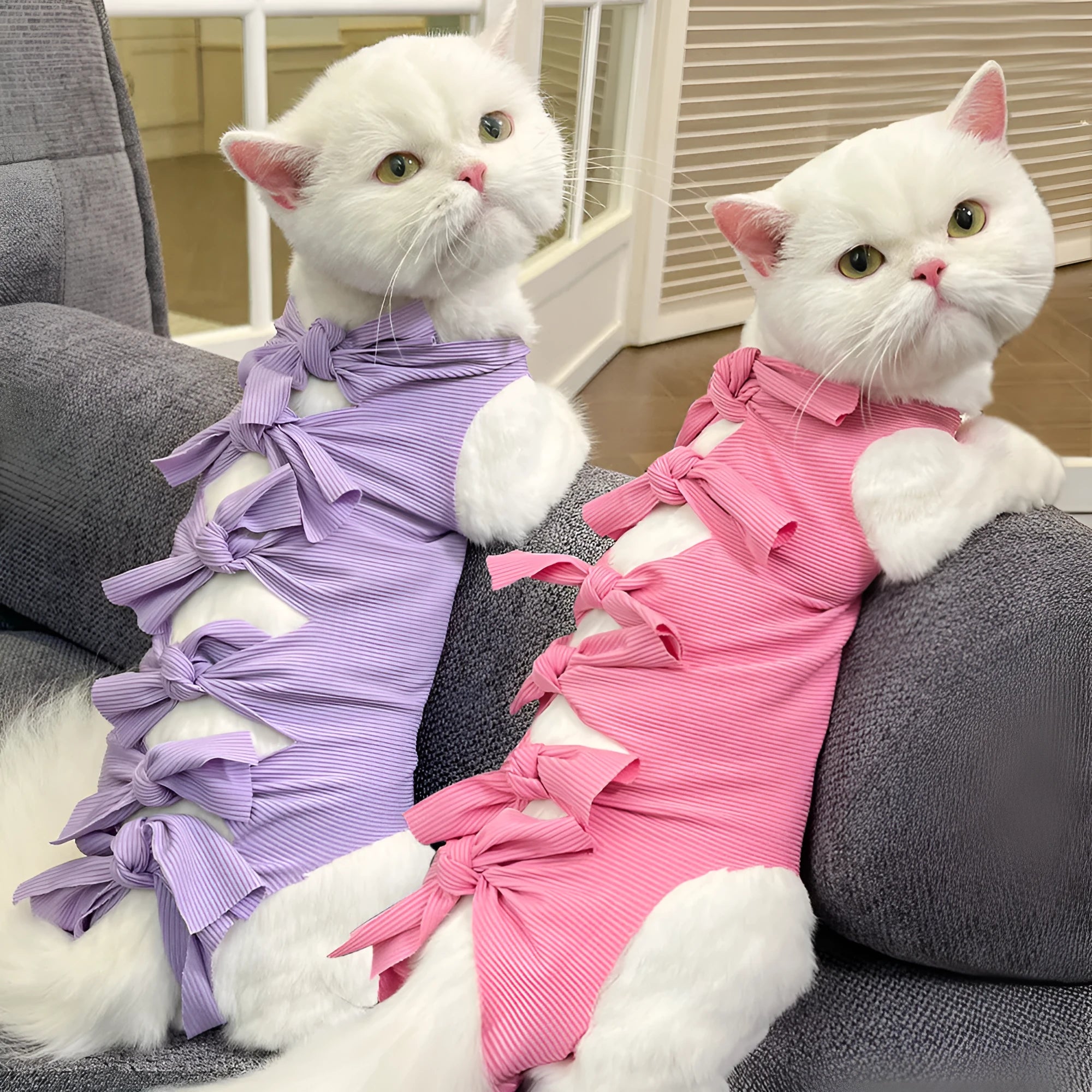 Blue lace-up cat recovery suit on a tabby cat, showing the adjustable back closure and full-body coverage.