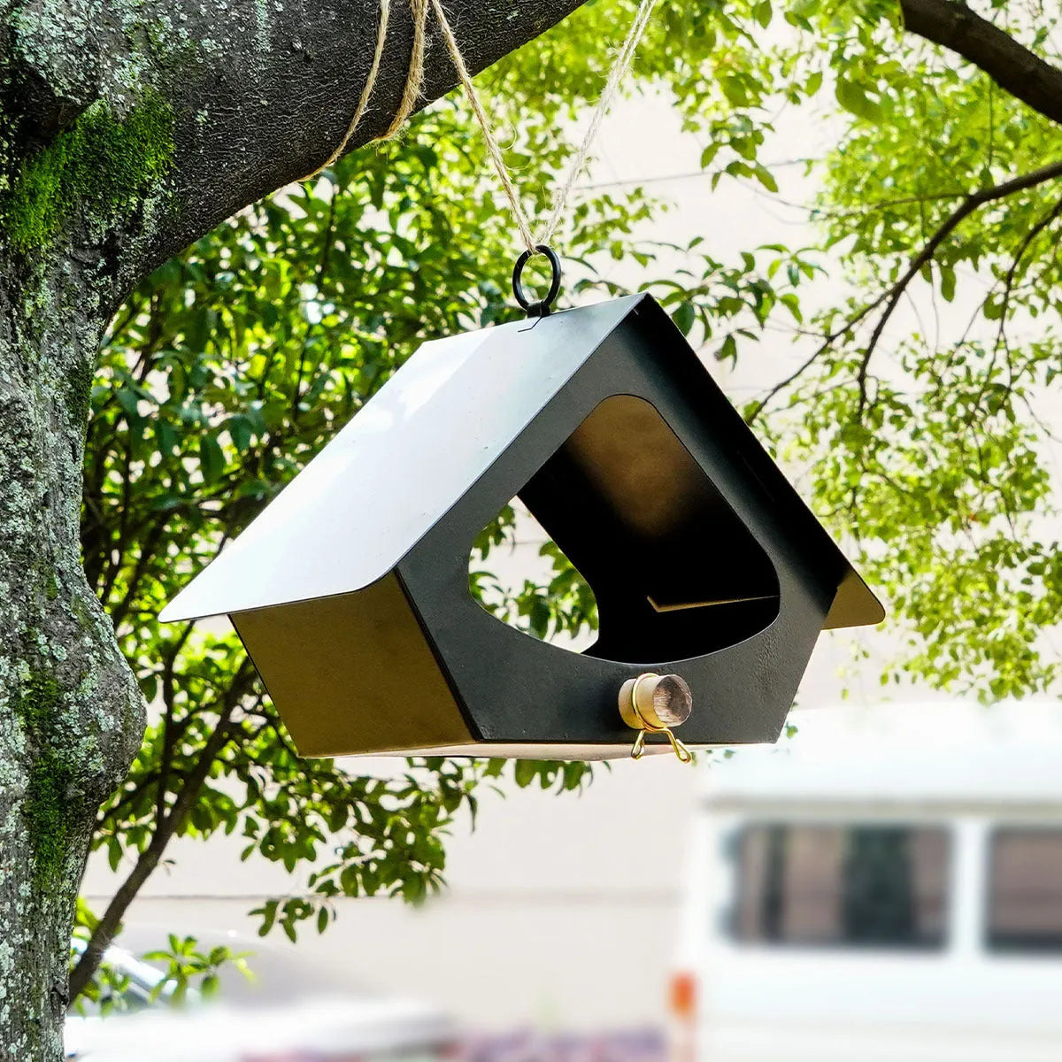 Iron bird nest feeder with European modern design in black or white colour options