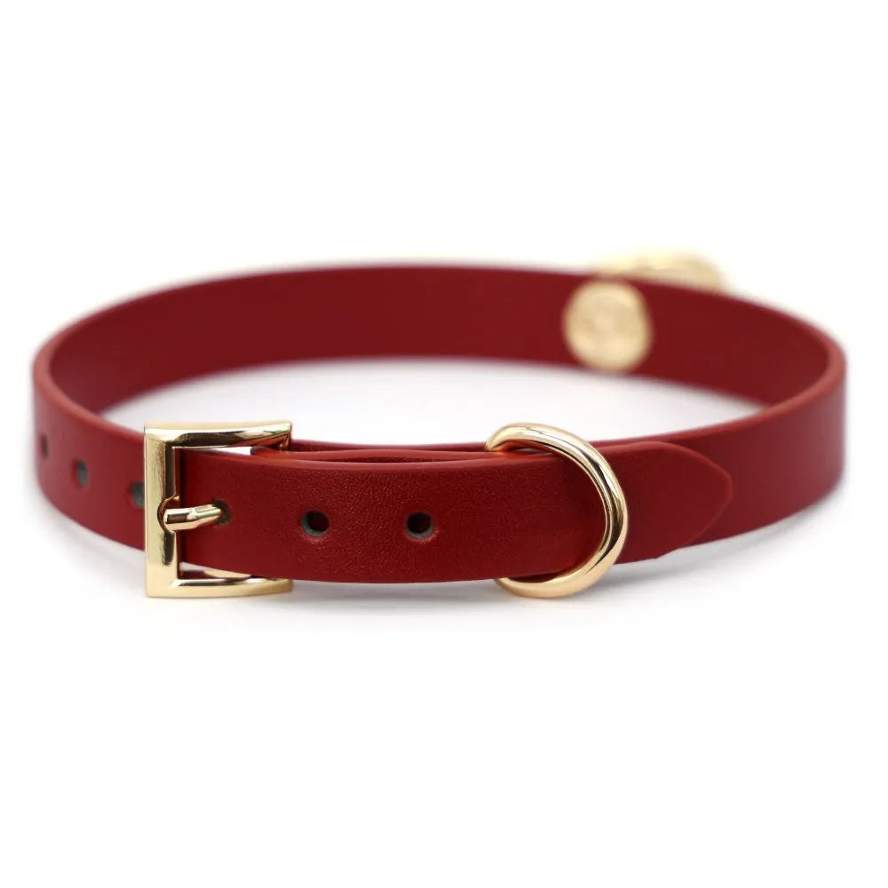 Genuine cowhide leather dog collar with drag chain and pull lead in black and red colours