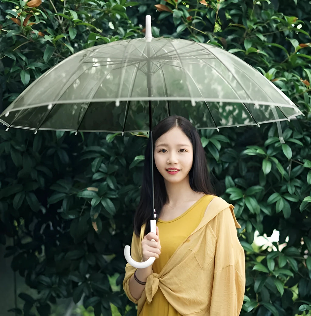 Transparent umbrella with long handle showing 16-rib construction and black steel frame