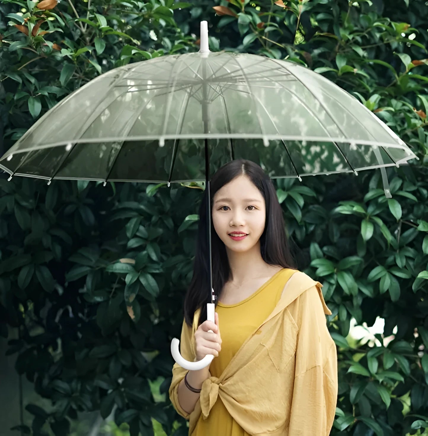 Transparent umbrella with long handle showing 16-rib construction and black steel frame