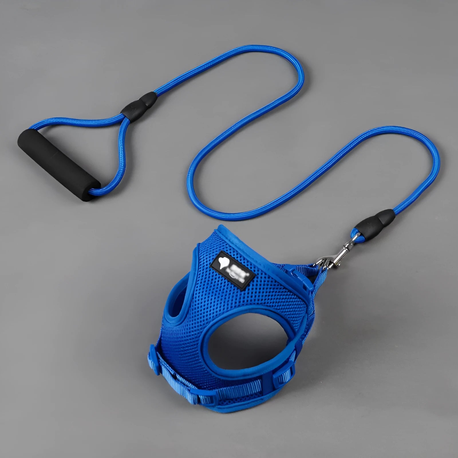 Blue adjustable dog leash and collar set with foam handle for a small dog.