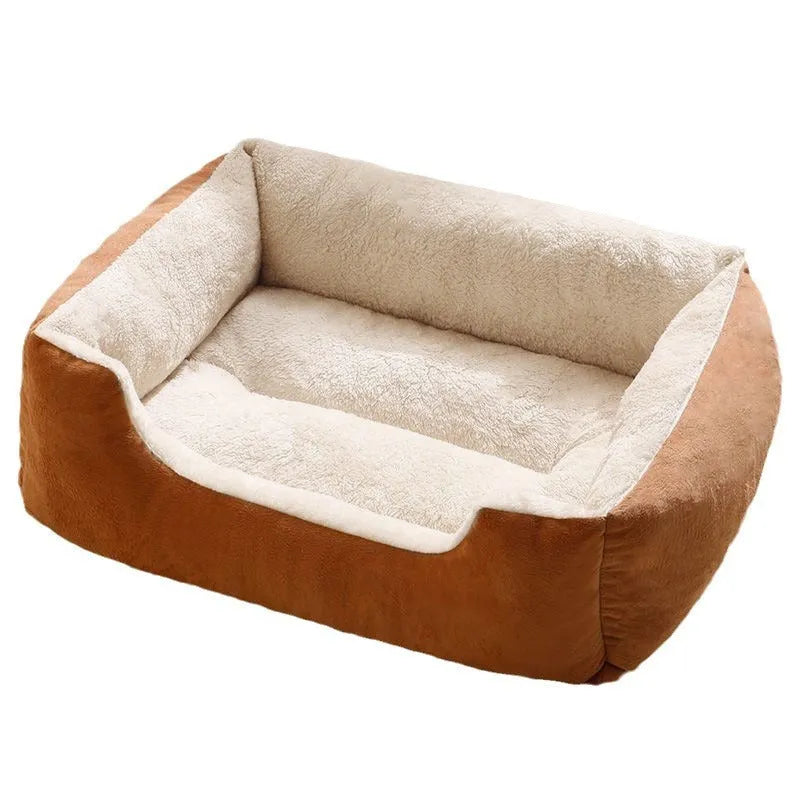 Soft grey short plush cat bed for a sleeping kitten